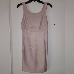 Windsor Blush Dress